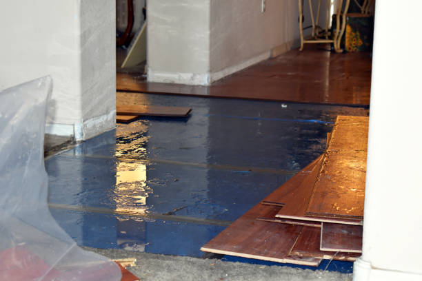 Professional Water Damage technician working in Bloomington, CA